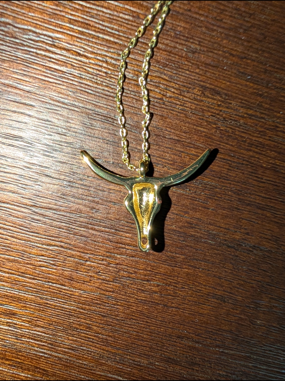 Gold Longhorn Pendant Necklace And Earrings Set- Women Jewelry - Picture 4 of 4